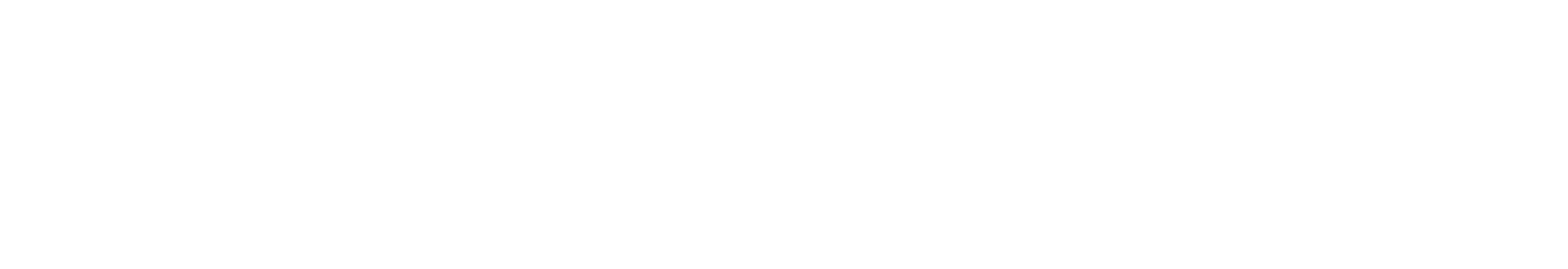 EYESEU